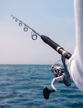 Ultimate Guide to Choosing the Best Freshwater Trolling Reels